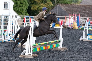 Class 3 -  Fences not above 2'3